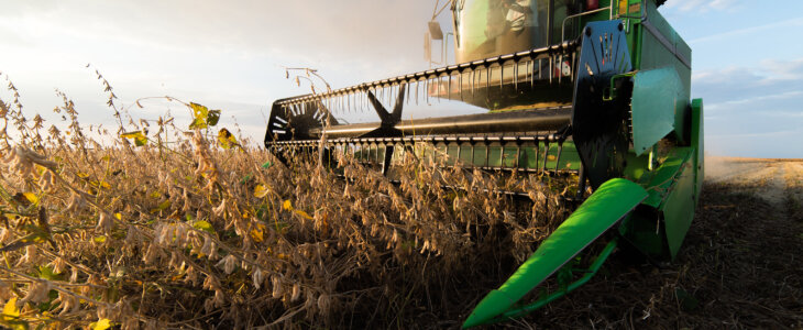 Harvesting of soybean field with farm equipment